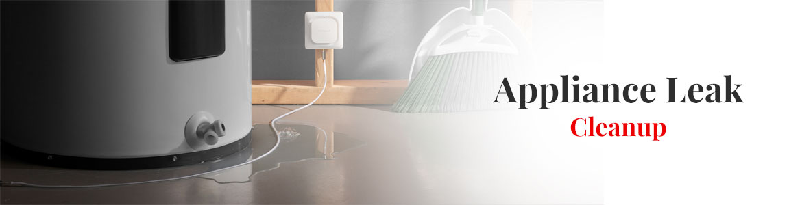 Appliance Leak Cleanup