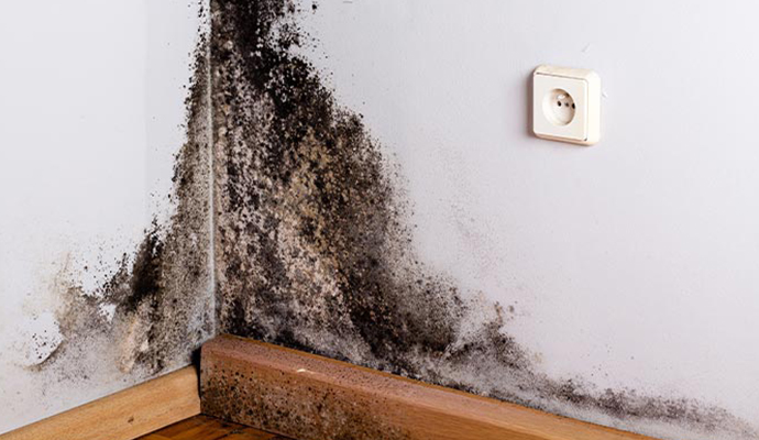 Restore Mold Damaged Structure Caused by Leak in Arkansas