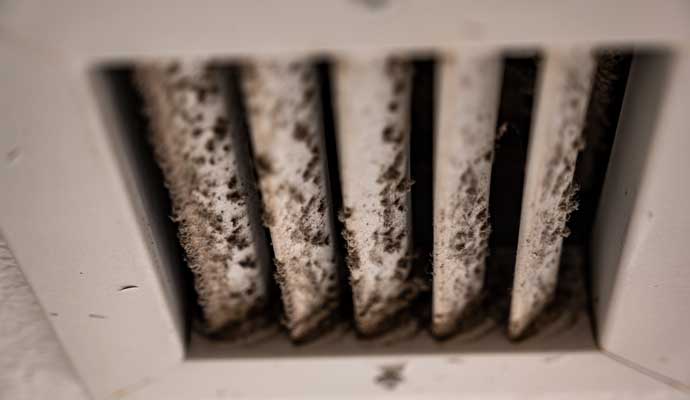 HVAC Mold Removal & Remediation in Benton & Conway