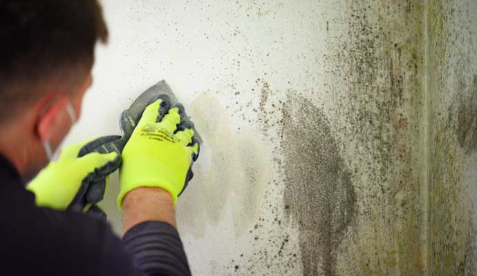 A person cleaning mold from wall using equipment