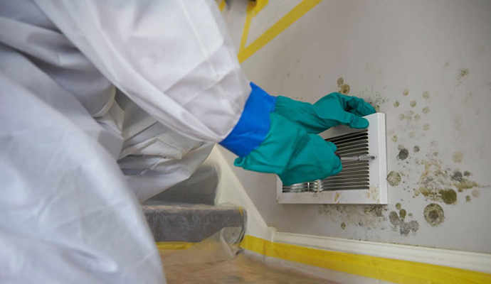 Mold damaged vent