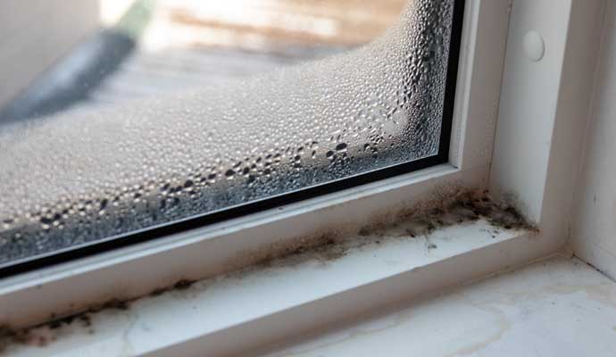 A window with condensation and mold growth on the sill