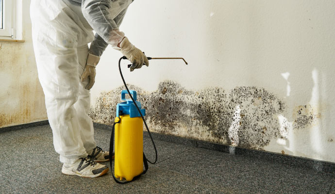 Person cleaning with equipment