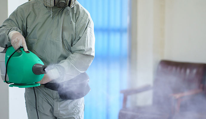 Odor removal service