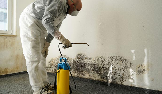 Person cleaning mold with equipment