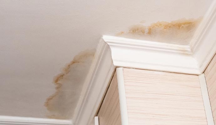 Ceiling corner with visible water stains and mold growth caused by a roof leak