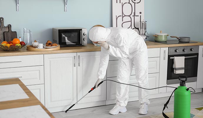Professional disinfecting service
