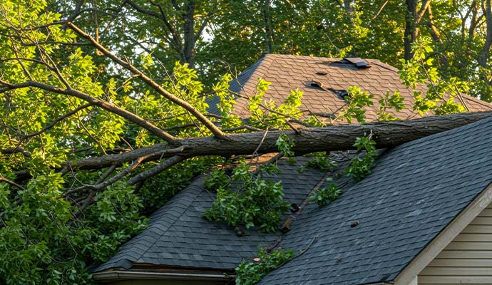 Tree fallen on house roof due to wind