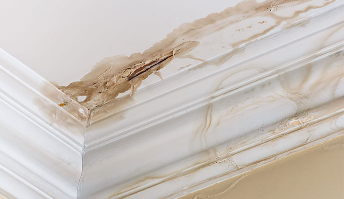 Damaged structural ceiling