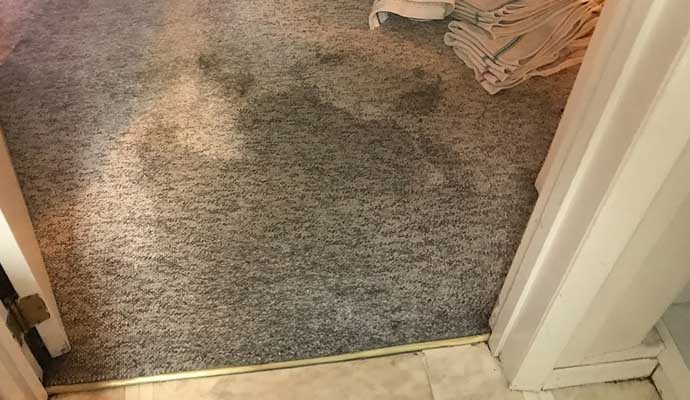 Wet carpet with visible water stains near a doorway