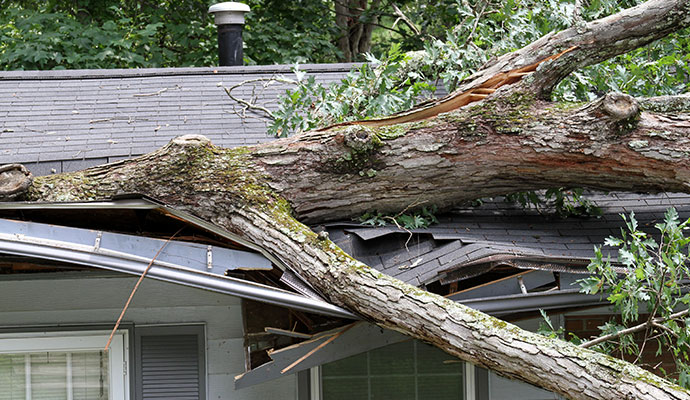 Wind damaged house